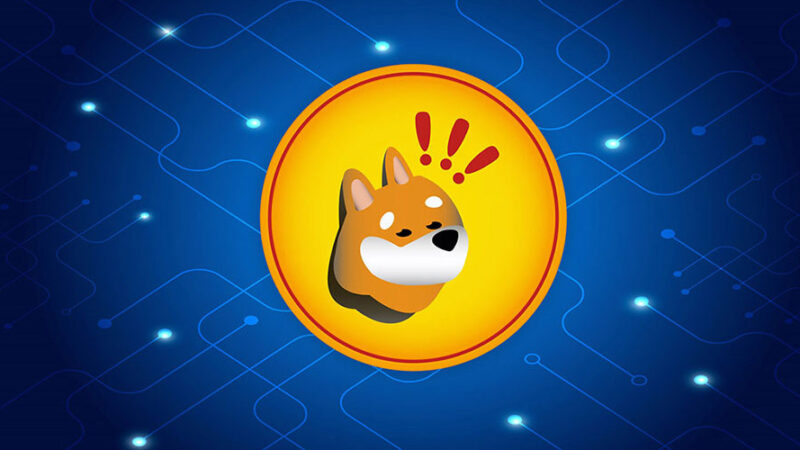 بونک با افزایش چشمگیر کارمزدها به سمت انفجار قیمتی حرکت می‌کند؟