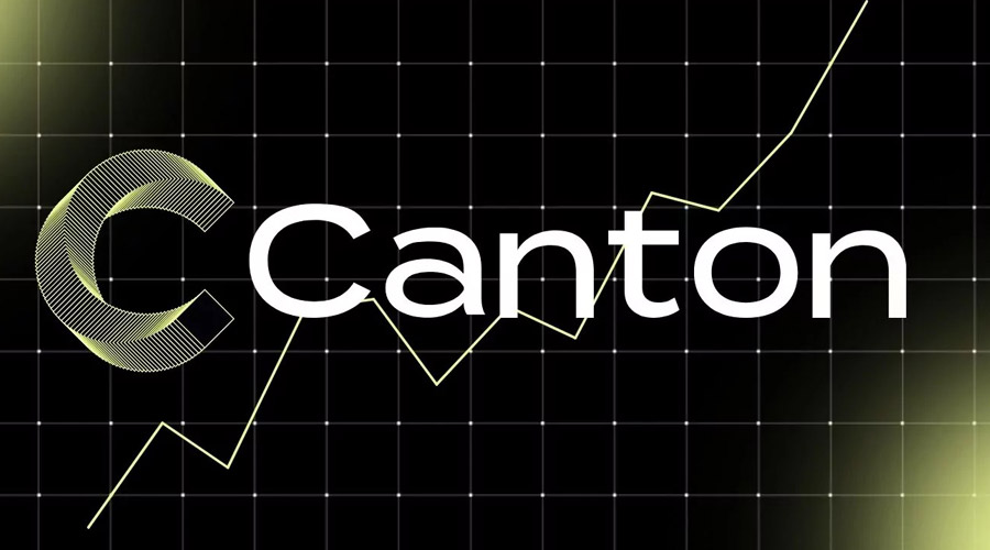 کانتون در بازار قرمز کریپتو سبز شد! دلایل رشد و چشم‌انداز پیش روی CC