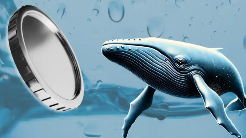 نهنگ‌های بازار کریپتو در اصلاح دسامبر، ۳ آلت‌کوین پرتقاضا را شکار کردند!