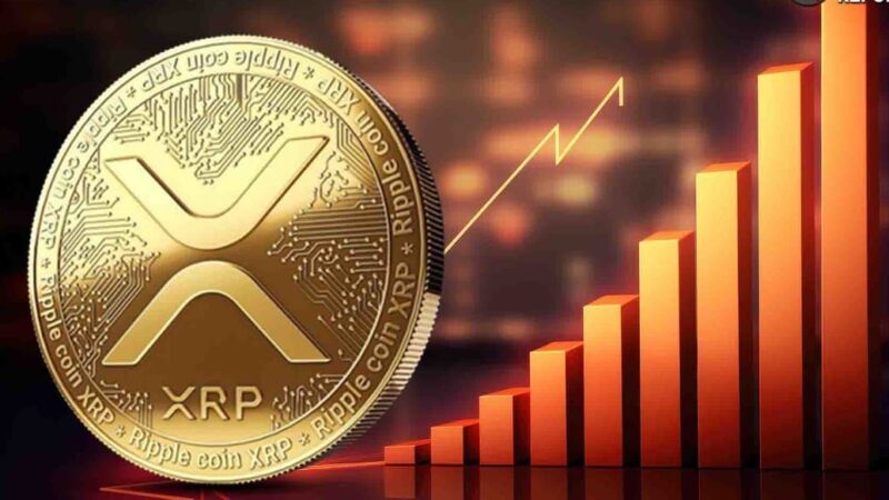 رکوردشکنی بی‌سابقه دارایی‌های ETF های XRP در کمتر از دو ماه!