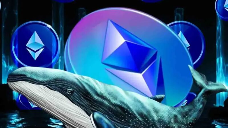 نهنگ‌های اتریوم در اوج بازار؛ خریدهای میلیونی که همه را شوکه کرد!