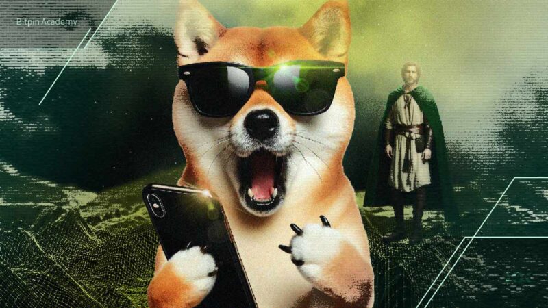 تحلیل دوج کوین: انباشت نهنگ‌ها و کف حمایتی قوی؛ آیا رشد قیمت در راه است؟