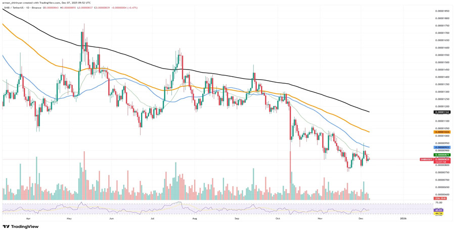 extreme-shiba-inu-anomaly-or-on-chain-error-23561900000000-shib-in-24-hours