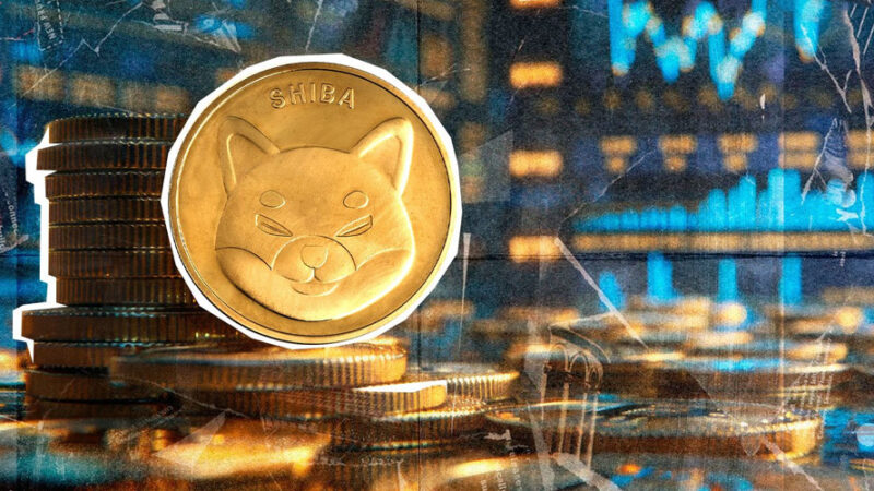 جابجایی عجیب ۲۳ تریلیون شیبا اینو در ۲۴ ساعت؛ پشت پرده بازار چه رازهایی دارد؟