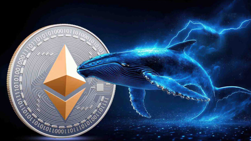 انباشت هماهنگ نهنگ‌ها در بازار اتریوم؛ قیمت ETH در آستانه جهش تا ۵ هزار دلار؟