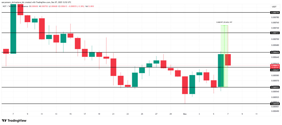 notcoin-price-sudden-rally