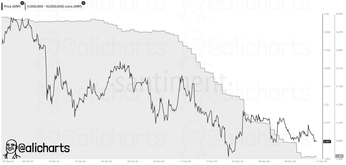 فشار فروش ناشی از فعالیت نهنگ‌ها