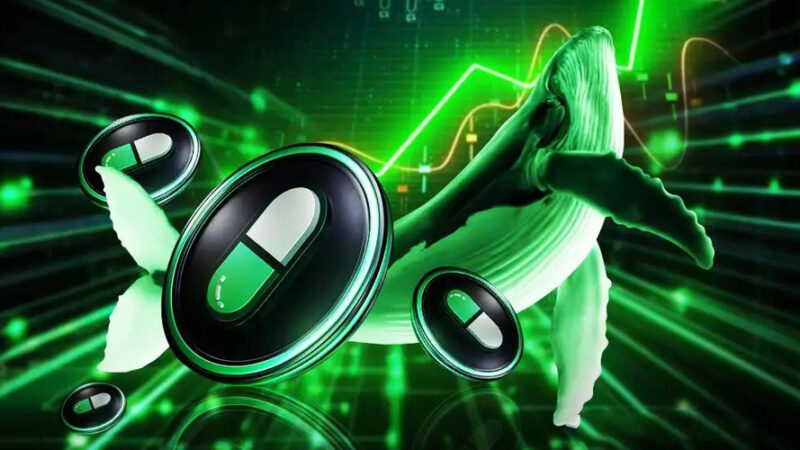 نهنگ تازه‌وارد ۲۳ میلیون دلار پامپ.فان خرید؛ آیا قیمت PUMP به آسمان می‌رسد؟