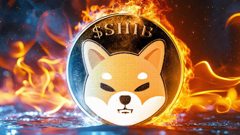 ارتش شیبا در انتظار به‌روزرسانی مهم ماه دسامبر؛ امیدی به صعود قیمت SHIB هست؟
