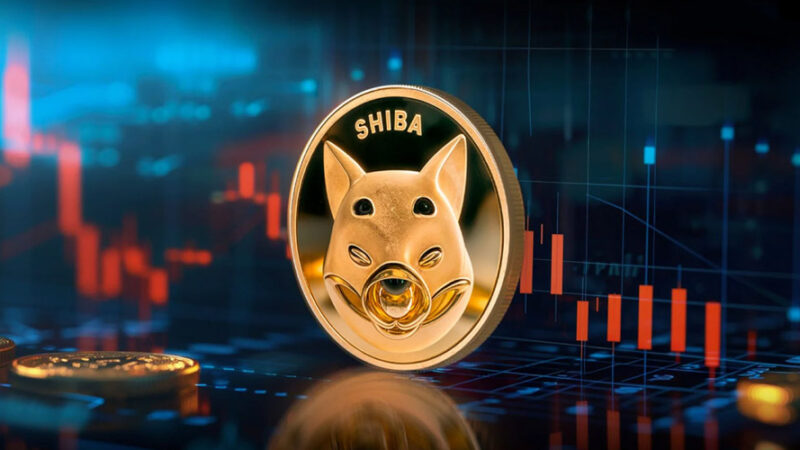 شیبا اینو در آستانه بازگشتی تاریخی؛ کف دوقلو فرصتی طلایی یا تله خطرناک؟