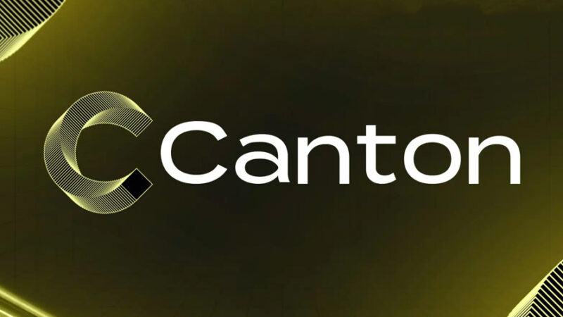کانتون با جهش ۱۴ درصدی به صدر رمزارزهای پرسود رسید؛ راز صعود ناگهانی CC چیست؟