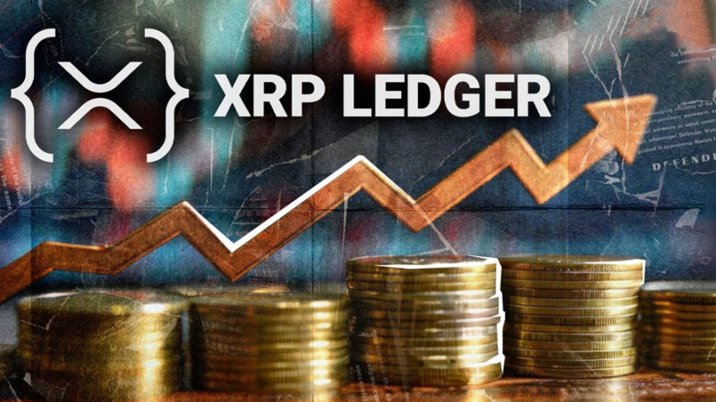 رکوردشکنی حیرت‌انگیز سرعت گردش ریپل در ۲۰۲۵؛ آیا قیمت XRP منفجر می‌شود؟