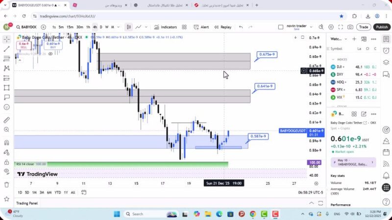 تحلیل بیبی دوج امروز 1 دی 1404