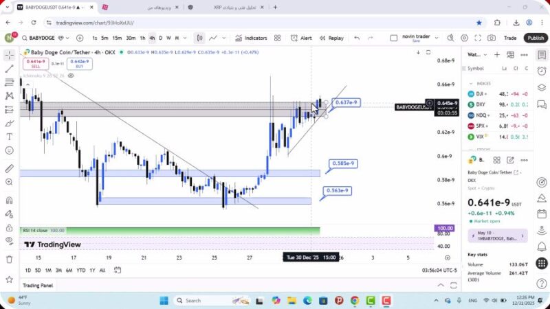 تحلیل بیبی دوج امروز 10 دی 1404