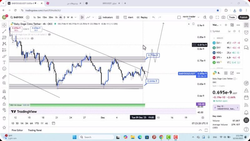 تحلیل بیبی دوج امروز 19 آذر 1404