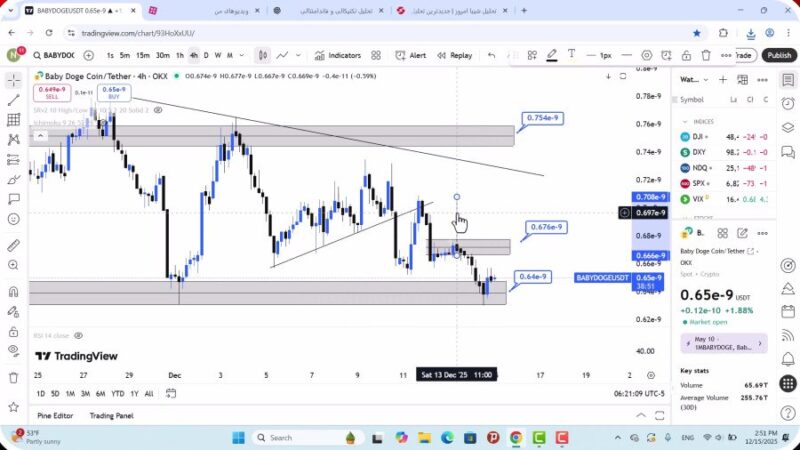 تحلیل بیبی دوج امروز 24 آذر 1404