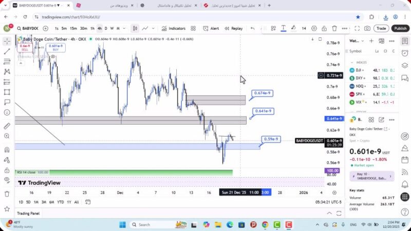 تحلیل بیبی دوج امروز 29 آذر 1404