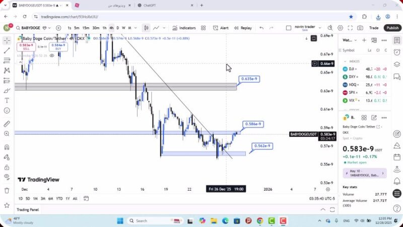 تحلیل بیبی دوج امروز 7 دی 1404