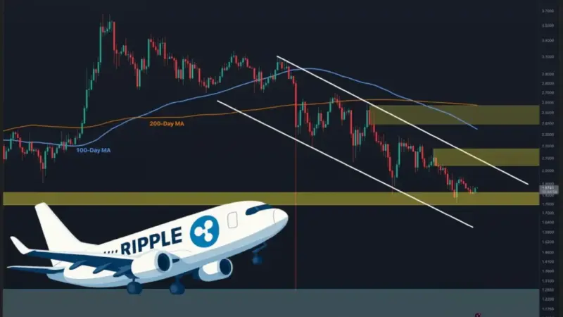 ریپل در چه سطحی به پرواز می‌رسد؟ نگاهی به آینده پرریسک این ارز دیجیتال