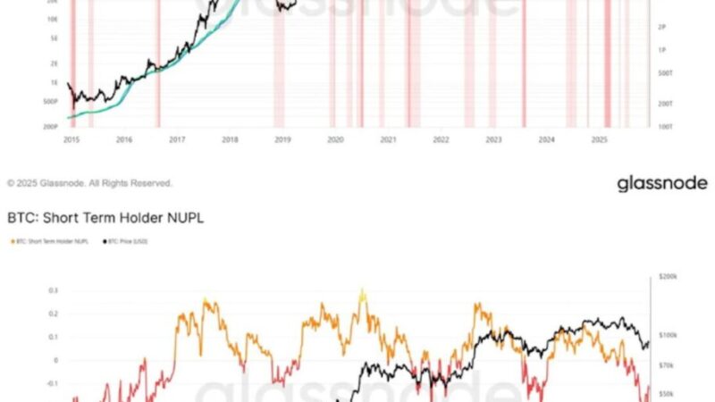 میلیاردر کریپتویی در این نقاط، پوزیشن خرید باز می‌کند