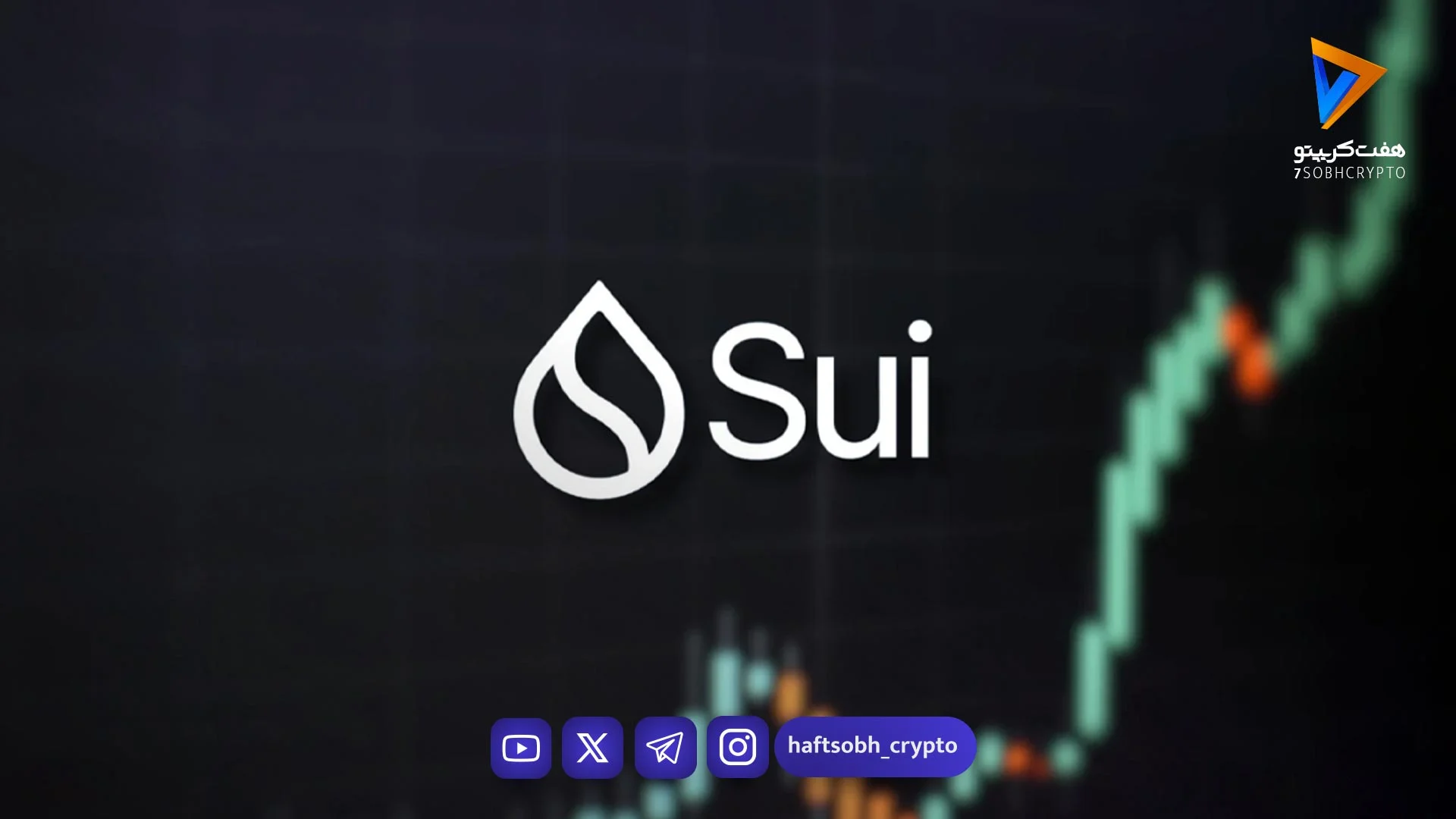 گاوها افسار سویی را گرفتند! انفجار قیمت بالای ۳ دلار در راه است یا یک دام خطرناک؟