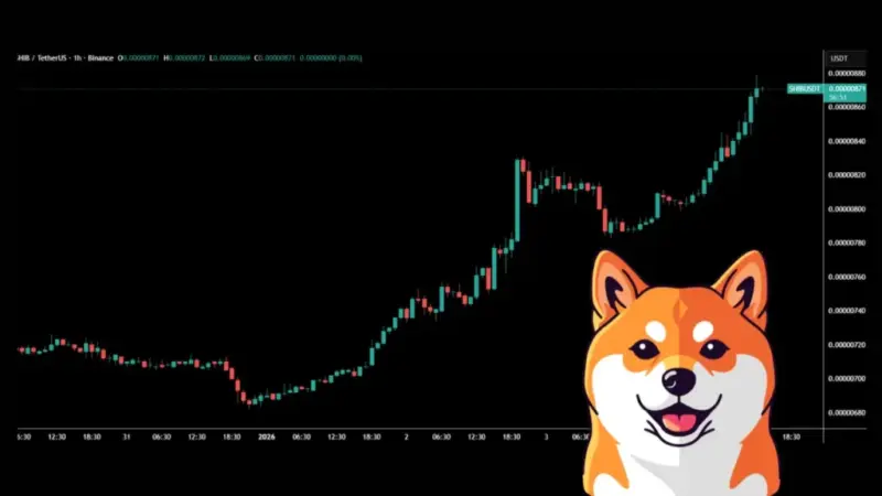 میم‌کوین‌ها چگونه بازار را به لرزه درآوردند؟ دوج‌کوین و شیبا پیشتازان موج تازه سرمایه‌گذاری