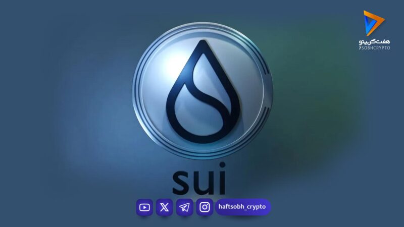 رشد 43 درصدی سویی در سال جدید میلادی