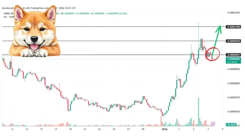 میم‌کوین‌ها در دی‌ماه چگونه بازار را تکان دادند؟ پیش‌بینی قیمت دوج، شیبا و پپه که همه را شگفت‌زده کرد!