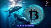 رد پای نهنگ‌ها در بازار! این ۳ آلت‌کوین هفته گذشته میدان بازی سرمایه‌های سنگین بودند