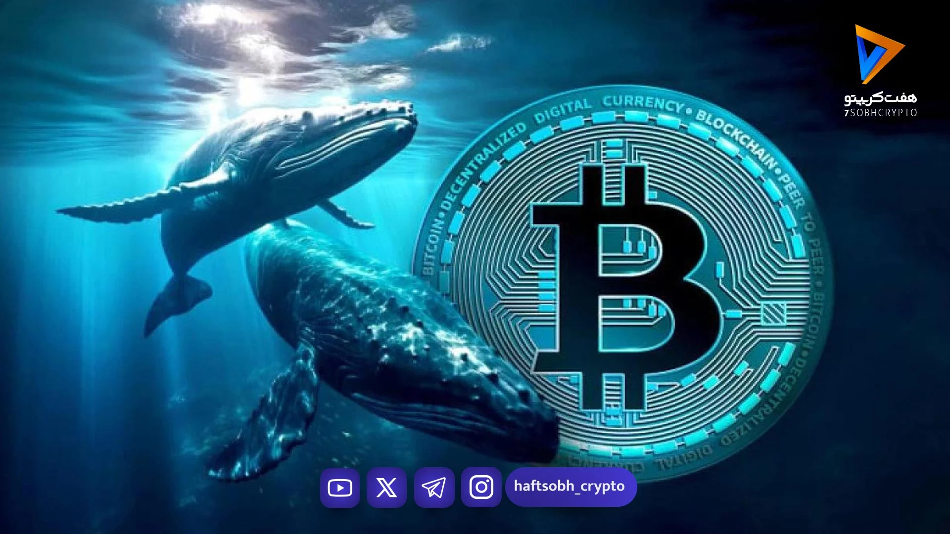 رد پای نهنگ‌ها در بازار! این ۳ آلت‌کوین هفته گذشته میدان بازی سرمایه‌های سنگین بودند