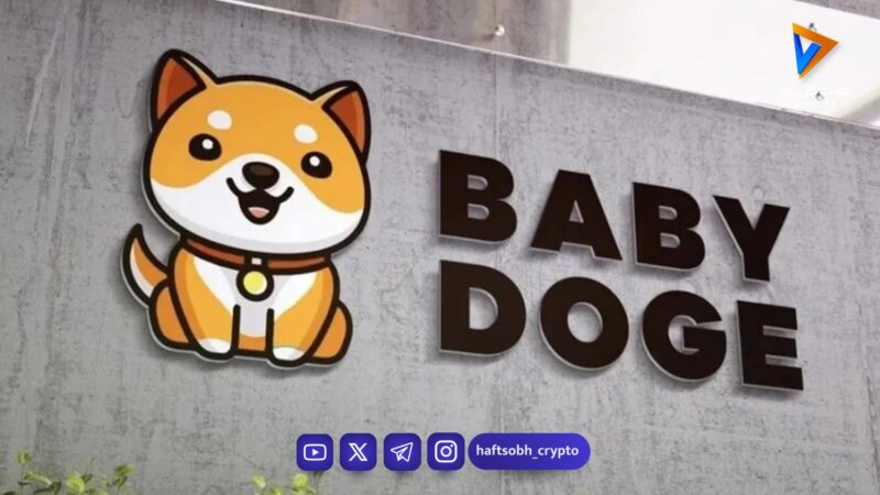 تحلیل بیبی دوج امروز 11 بهمن 1404