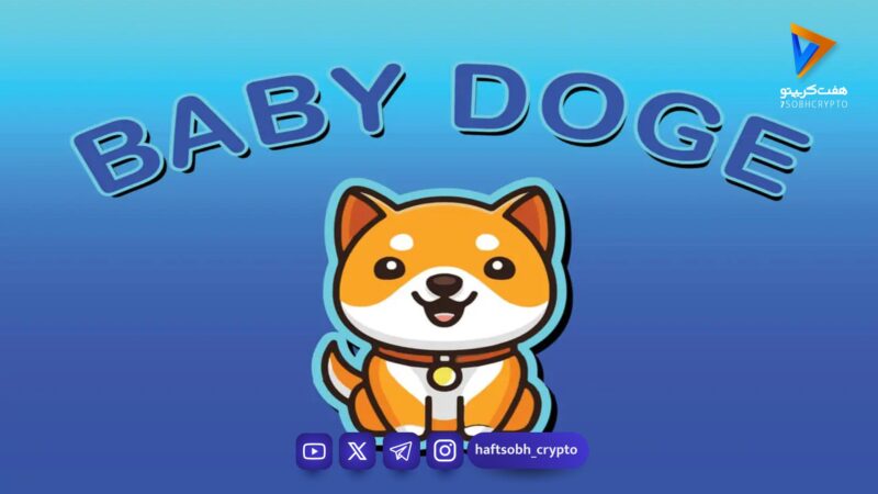 تحلیل بیبی دوج امروز 8 بهمن 1404