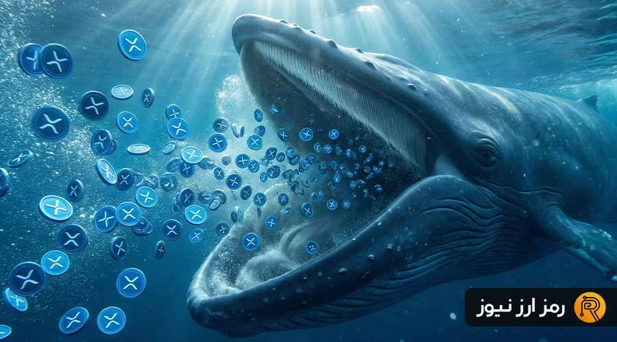 نهنگ‌های ریپل دست به خرید میلیاردی زدند؛ جهش قیمت در راه است؟