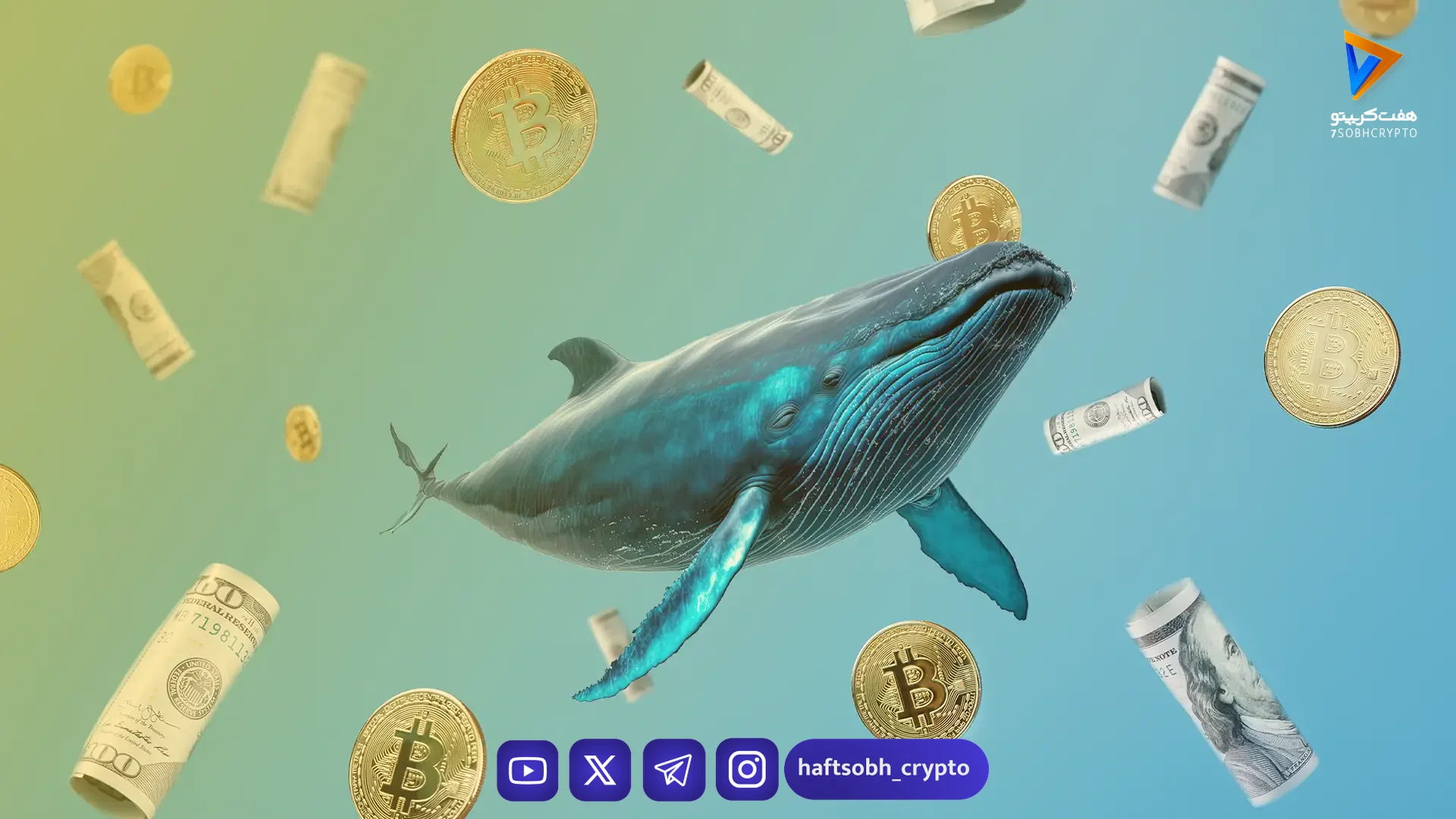 تحلیل داده‌های آن‌چین: تجمع نهنگ‌های بیت کوین اغراق‌شده و افزایش خوش‌بینی هولدرهای بلندمدت