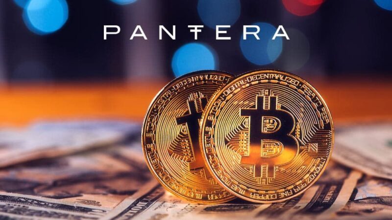 پانترا کپیتال فاش کرد: سال ۲۰۲۵، نقطه عطف بی‌سروصدای ارز دیجیتال که بازارها ندیدند!