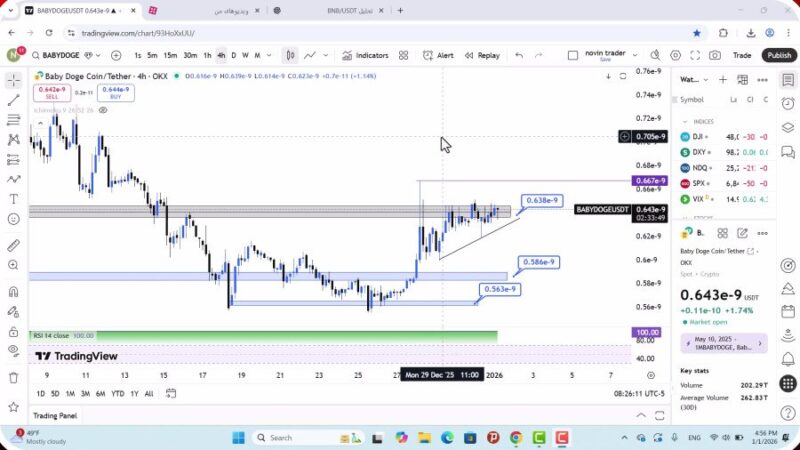 تحلیل بیبی دوج امروز 11 دی 1404