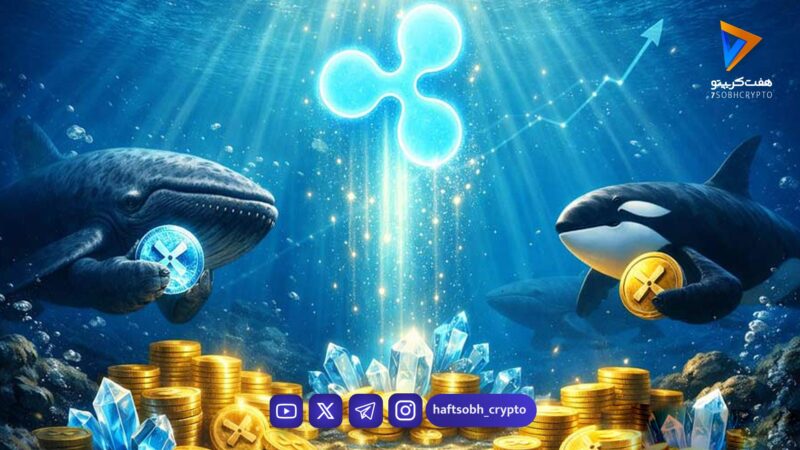 نهنگ‌ها در حال انباشت ۲۳۰ میلیون ریپل؛ جهش ۲۰ درصدی XRP چه پیامی دارد؟
