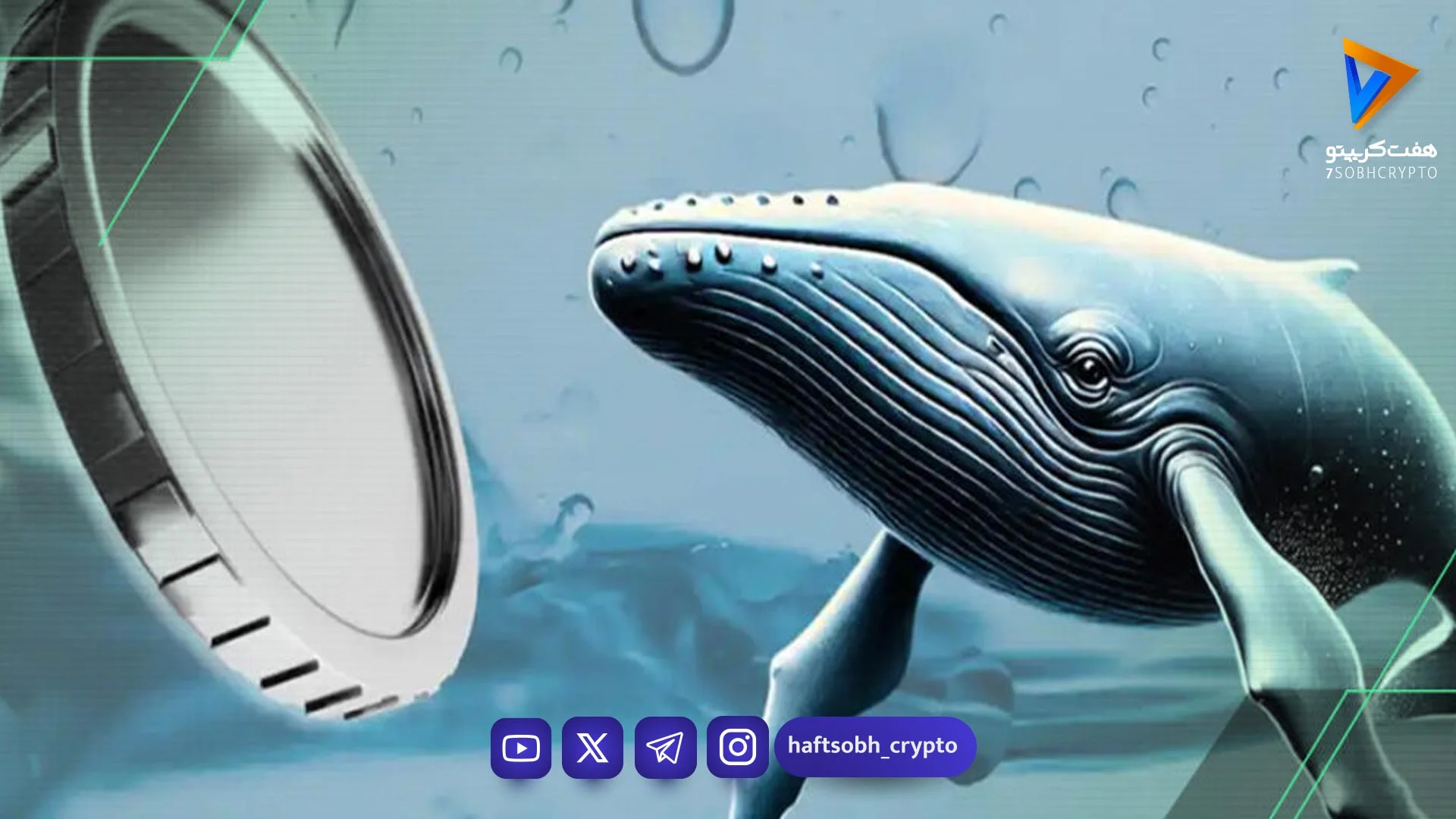 دلیل رشد ۵۰ درصد قیمت اورکا چیست؟ سیگنال خرید یا تله گاوی؟ - اخبار ارز دیجیتال
