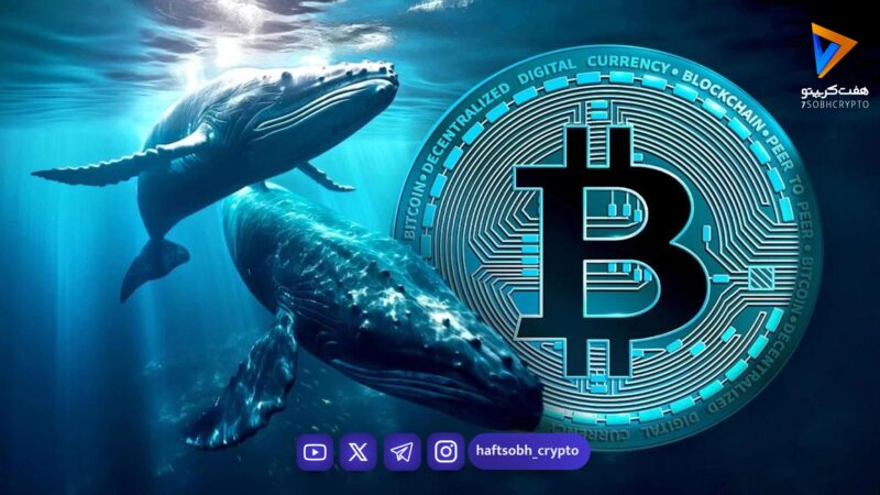 آیا نهنگ‌های بیت کوین در حال خرید هستند؟