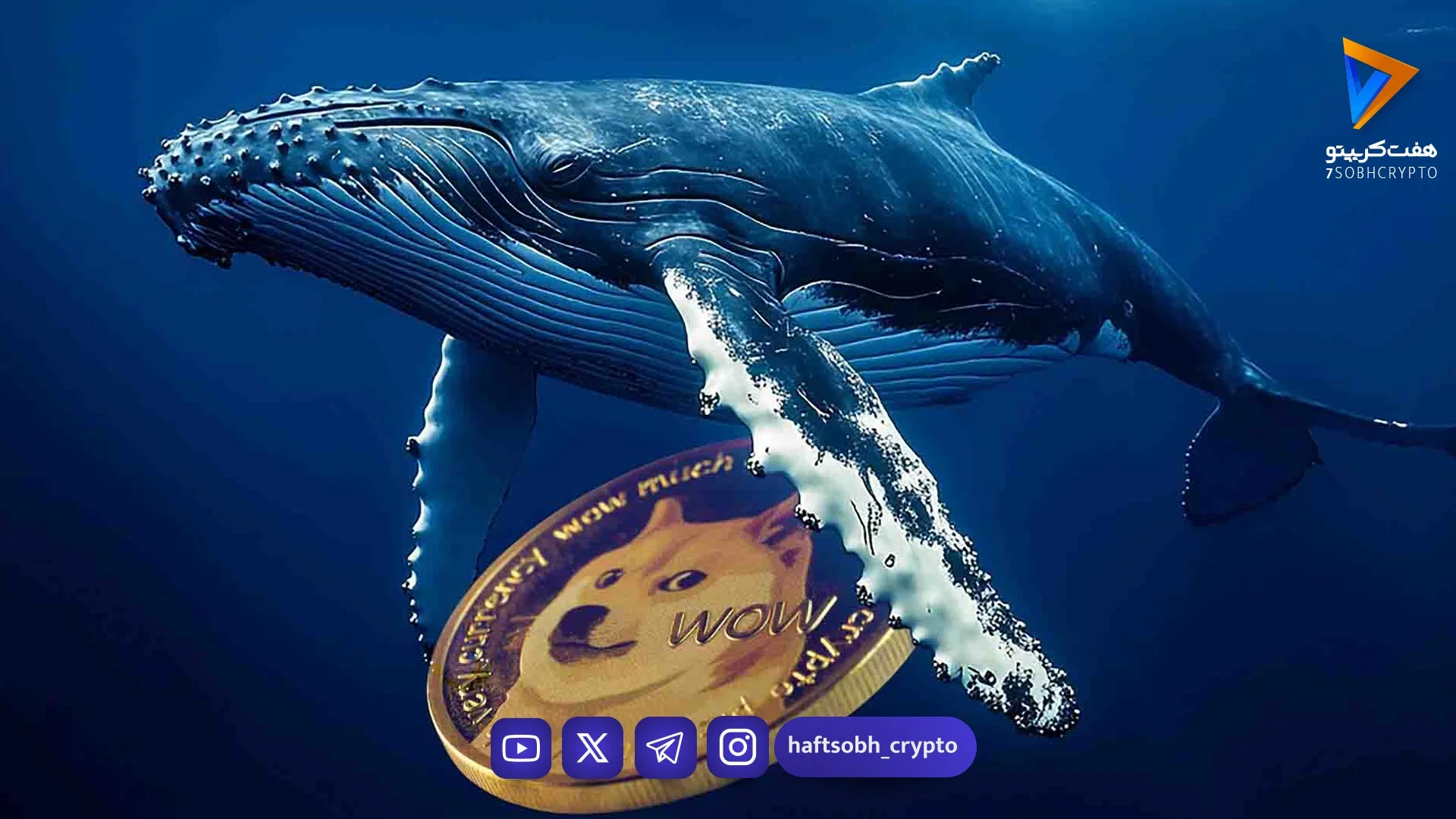فروش دوج‌کوین توسط نهنگ بزرگ می‌تواند قیمت را به زیر ۰.۱ دلار برساند - اخبار ارز دیجیتال