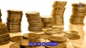 قیمت سکه، نیم‌سکه و ربع‌سکه امروز دوشنبه ۱ تیر ۱۴۰۵/ کاهش قیمت سکه