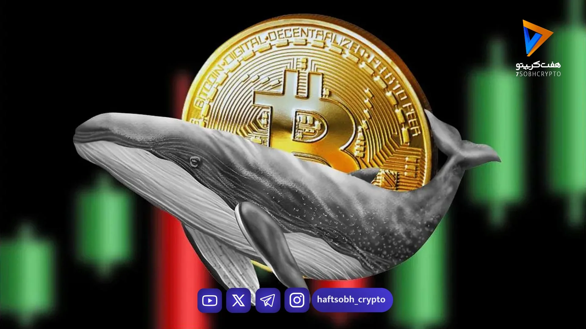 بیدار شدن نهنگ‌های قدیمی بیت کوین و جابجایی ۷۹۳ واحد btc - اخبار ارز دیجیتال