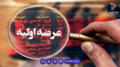 جزئیات ناگفته هفتمین عرضه اولیه فرابورس در سال ۱۴۰۵؛ فرصت طلایی سرمایه‌گذاری در راه است!