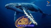 انباشت ۲۰۰ میلیون دوج‌کوین توسط نهنگ‌ها؛ آیا DOGE در آستانه یک جهش بزرگ قرار دارد؟