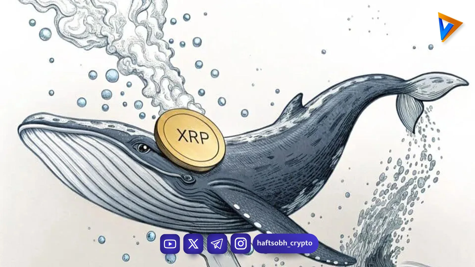 نهنگ‌های ریپل با خرید سنگین بازار را تکان دادند؛ آیا جهش بزرگ XRP در راه است؟ - اخبار ارز دیجیتال