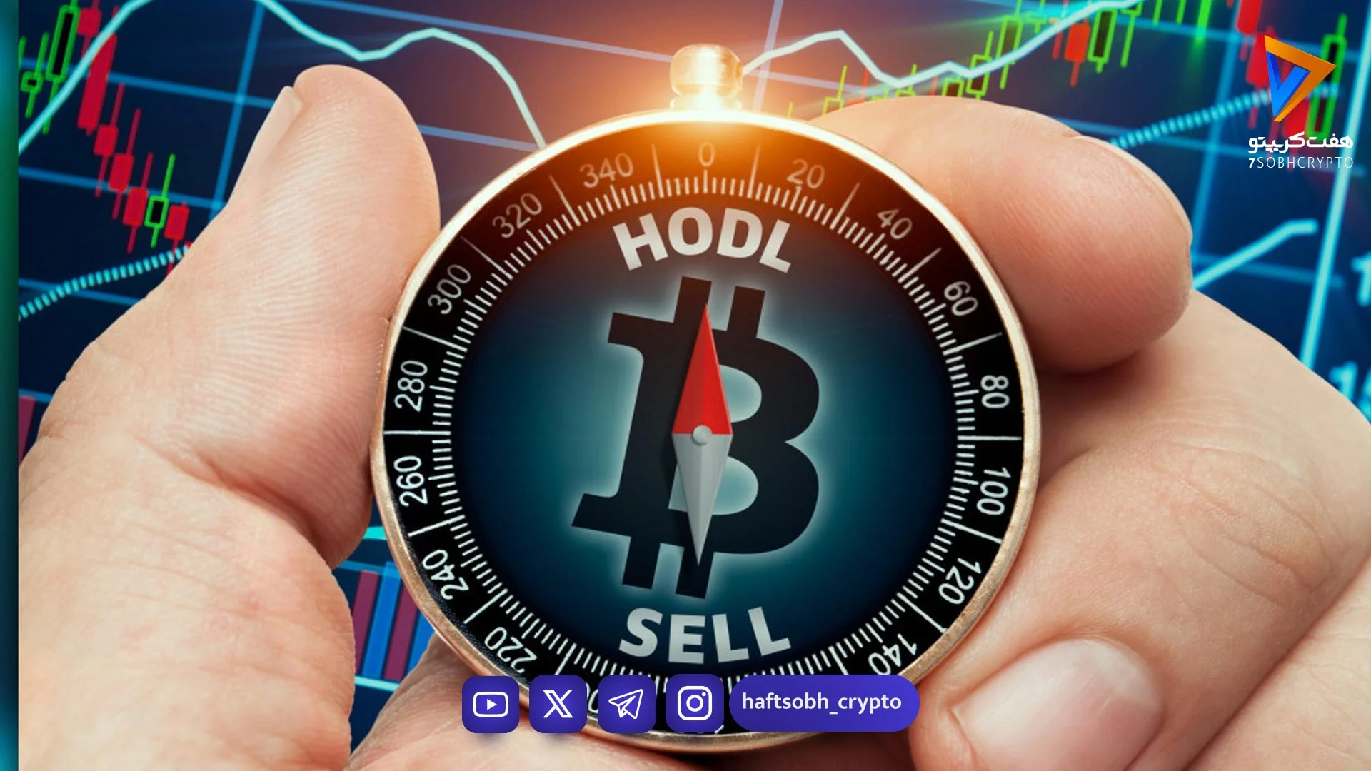 هولد کردن در ارز دیجیتال چیست؟ آشنایی کامل با مفهوم HODL - آموزش