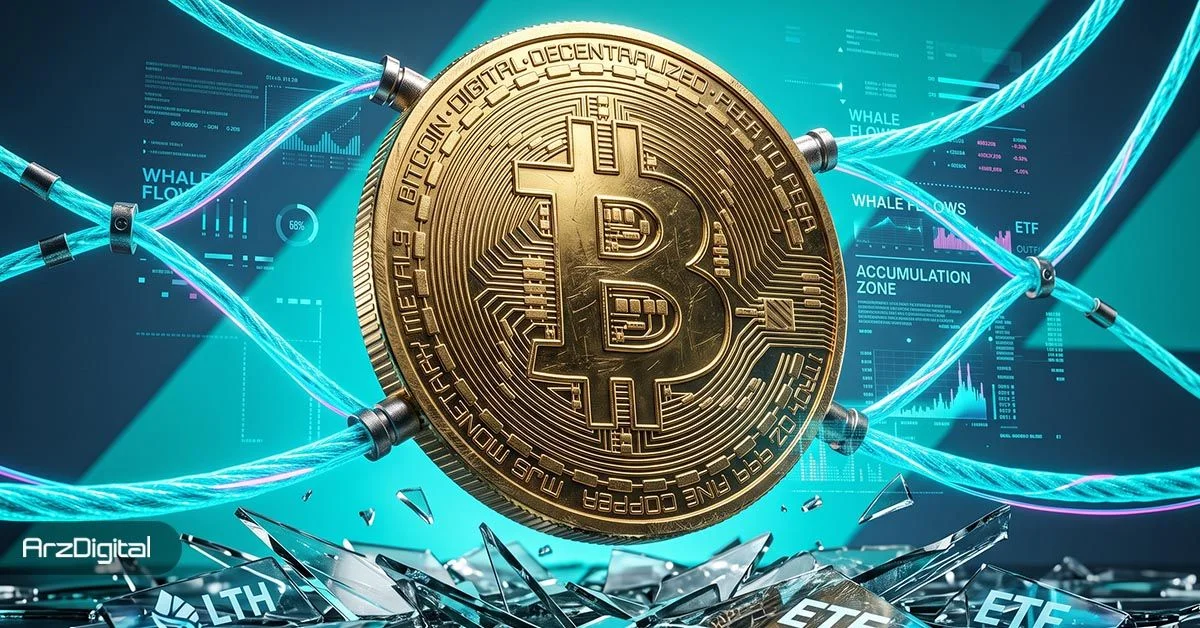 نهنگ‌ها در سکوت ۲۷۰ هزار بیت کوین انباشت کردند؛ الگویی آشنا در نزدیکی کف‌های بازار - اخبار ارز دیجیتال
