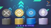 آلت سیزن چیست و چگونه می‌توان زمان طلایی آن را پیش‌بینی کرد؟