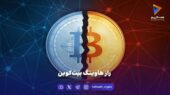 یعنی کاهش ۵۰ درصدی پاداش ماینرها