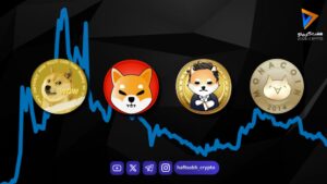 میم سیزن چیست و چرا میم کوین‌ها ناگهان سر زبان‌ها می‌افتند؟ - آموزش